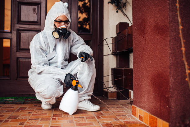 Reliable Bed Bug Control contractor in Mineral Wells, TX by Nex Pest Control