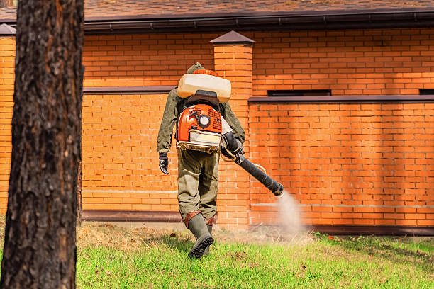Trusted Emergency Pest Control service in Mineral Wells, TX - Nex Pest Control